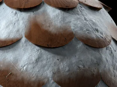 Roof Tile Materials 81- Wooden Roofing By Sbsar Seamless Pbr Texture