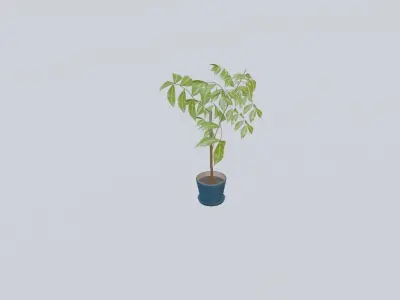 LOW poly floor plant 01 Free low-poly 3D model