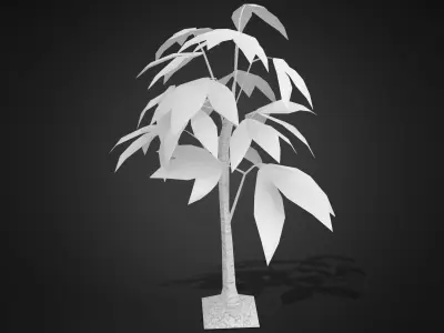 Tropical Leaves Tree Low-poly 3D model