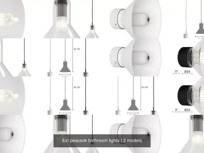 Ext peacock bathroom lights 3D Model Pack