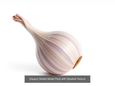 Realistic Vegetable Models Pack