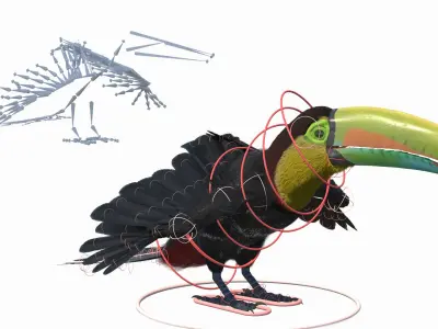  Keel Billed Toucan Fur Rigged 