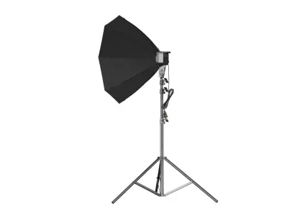Softbox Raya Octa Fluorescent 3D model