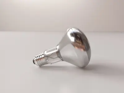 Reflector Light Bulb 3D model