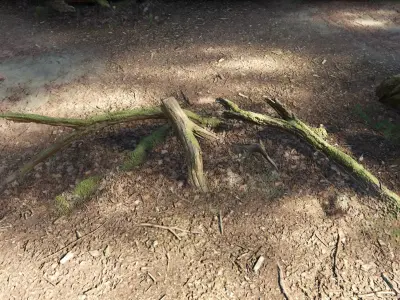 Forest Tree Root D 3D model