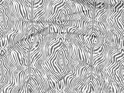 Black and White Zebra Printed Mesh Fabric PBR Texture ZFAB File 3D model