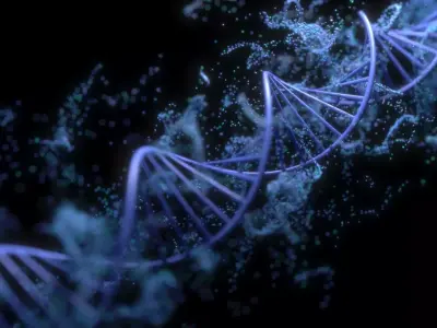 DNA Helix 3D model