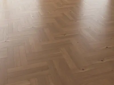 Parquet Oak Nut Brushed set 2 3D model