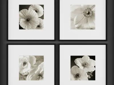Collection of Picture Frames - 20 sets 3D Model Pack shop
