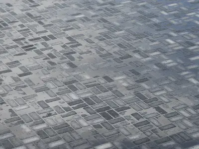 Paving flag with rain and snow and sbsar generator Texture