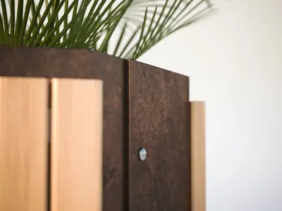 Palm tree in a high planter 3D model