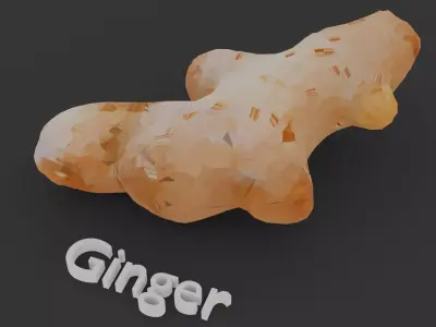 Herbal Root Collection 3D model