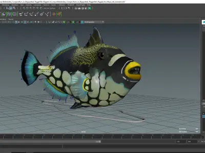  Coral Fish Rigged for Maya Collection 3 