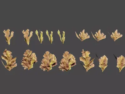 Ocean 4K 3d Plant 3D model