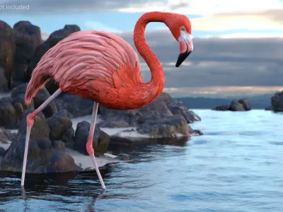  Pink Flamingo Bird in Walking Pose 