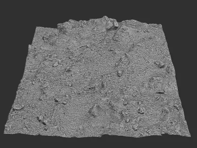 Forest litter  Low-poly 3D model