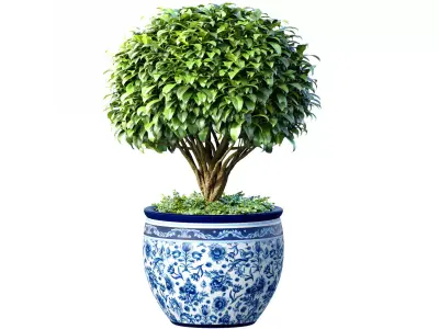 Decorative tree in an Italian vase Indoor plant 3D model