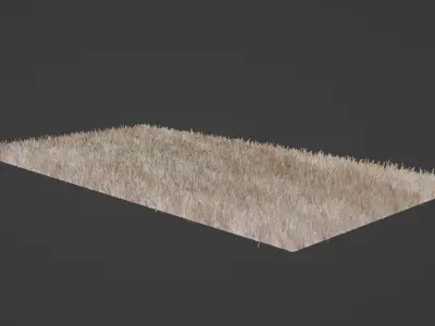 Carpet-Rug piece of wool Low-poly 3D model
