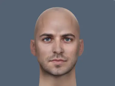 Male head Realistic Perfect Head  Low-poly 3D model