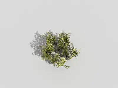 Low poly Plant Low-poly 3D model