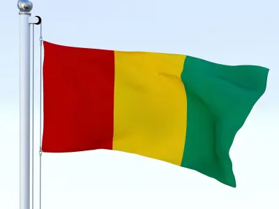 Animated Guinea Flag Low-poly 3D model
