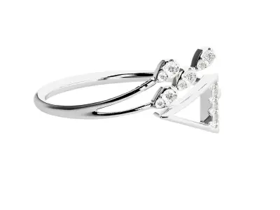 Ring - 106 3D print model