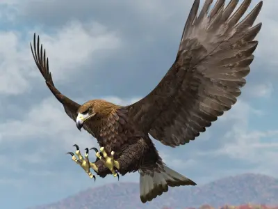  Golden Eagle 