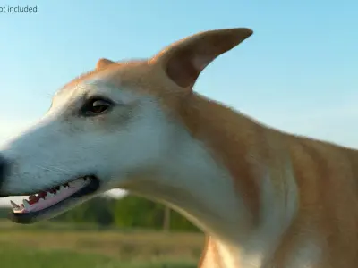  Dog Greyhound Running Animated Fur Rigged for Blender 