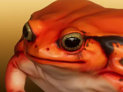 Tomato Frog 3D print model