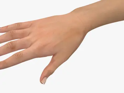  Female Hand with Short Nails Rigged for Cinema 4D 