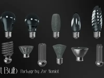 Light Bulb Package 3D model