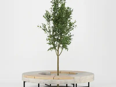 Tree Flowerbed 3D model