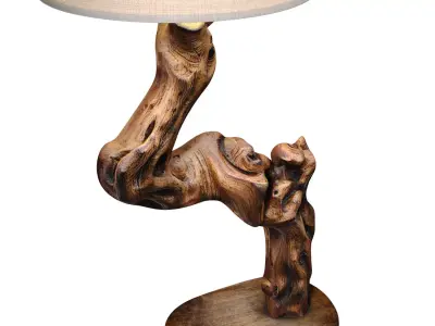 Rustic Nightstand table lamp light natural Sculptural driftwood  3D model