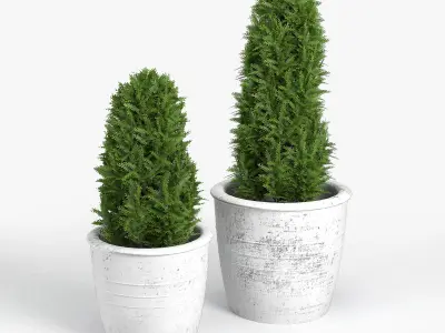 Bushes three potted plants 3D model