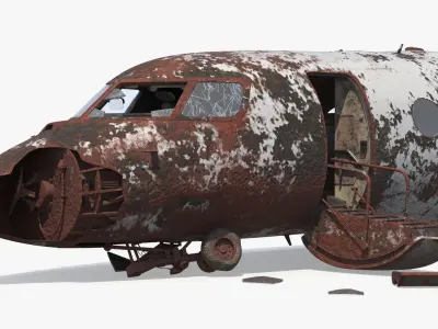  Rusty Business Jet Wreckage Crashed 