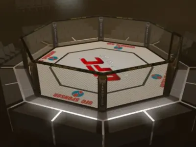 UFC Style Octagon Fighting Arena 3D model