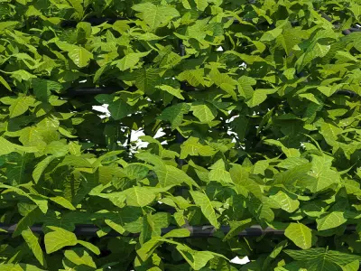 Gazebo Greenery 3D model