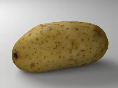 Potato - Photorealistic Scan Low-poly 3D model