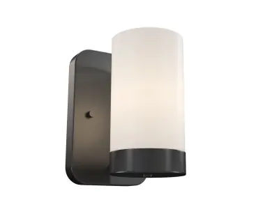 Elevate 1-Light Bath Vanity Wall Light 3D model