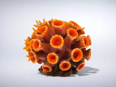 Vibrant Tubastraea Coral Colony Low-poly 3D model