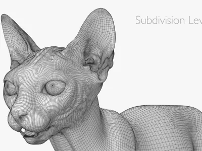  Sphynx Lowpoly 