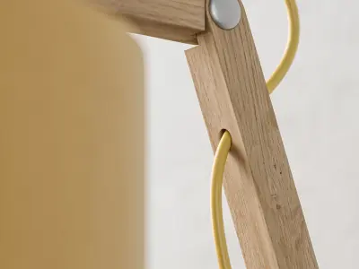 Wooden Wall Lamp with Shade 3D model