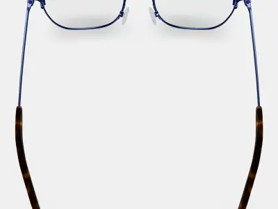 Heyward Eyeglasses in Brushed Navy 3D model