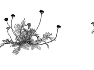 Realistic Yellow Wildflower Clump Low-poly 3D model