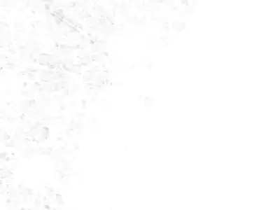 Sweden Occlusion Thickness Cavity Curvature Direct 10k Maps Texture