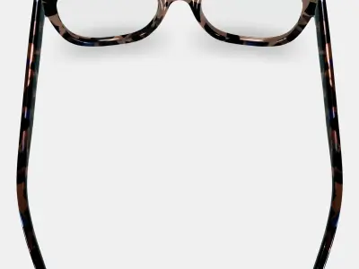 Tatum Eyeglasses in Smoky Pearl Tortoise 3D model