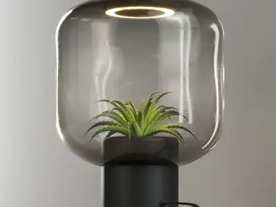 The Plant Lamp 3D model