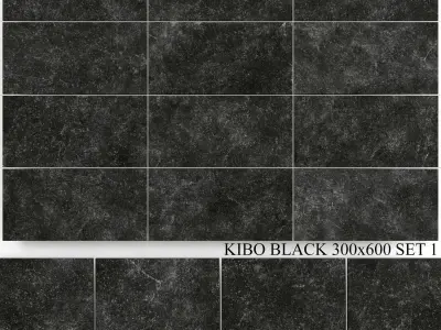 Yurtbay Seramik Kibo Black 300x600 Set 1 3D model