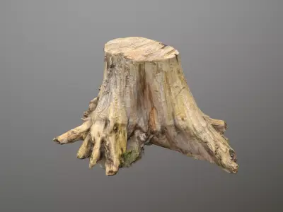 Big Tree Stump Low-poly 3D model