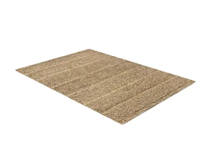 Russell Woven Area Rug Free 3D model